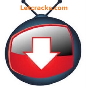 YTD Pro Crack